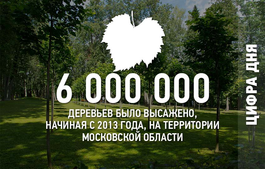 nashlesmo's tweet photo. #НашЛес #КомлесхозМО #ПосадиСвоеДерево #Подмосковье #ЦифраДня https://t.co/lC6VDsQGeQ