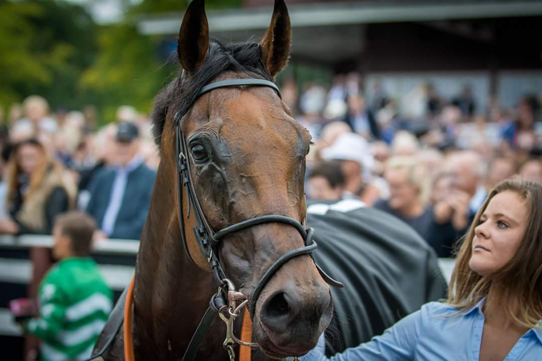 Scandinavian Racing tweet media