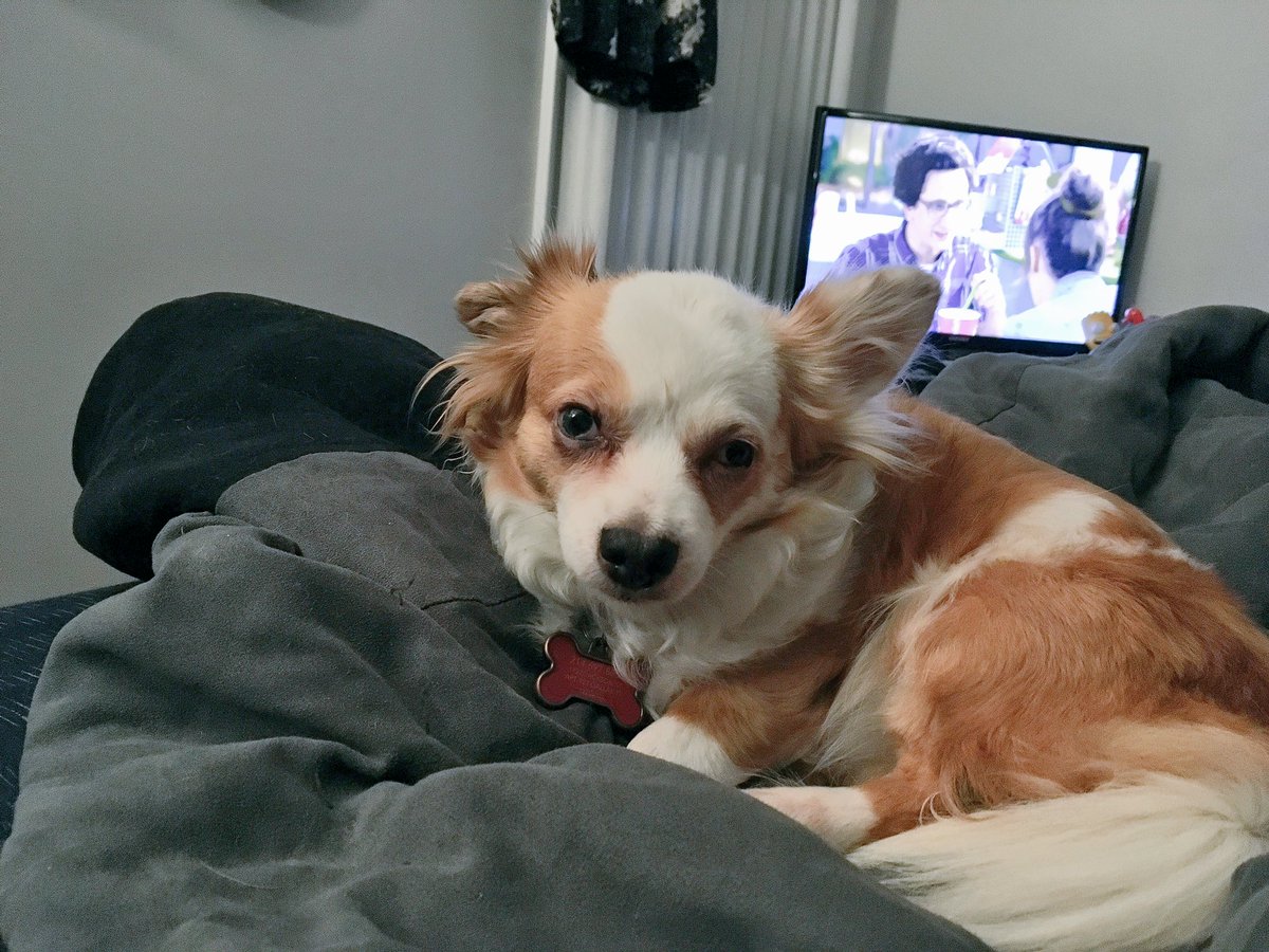 MikeZiemer's tweet photo. Get you someone that looks at you like @deafbella looks at me https://t.co/T8xOMetBuI