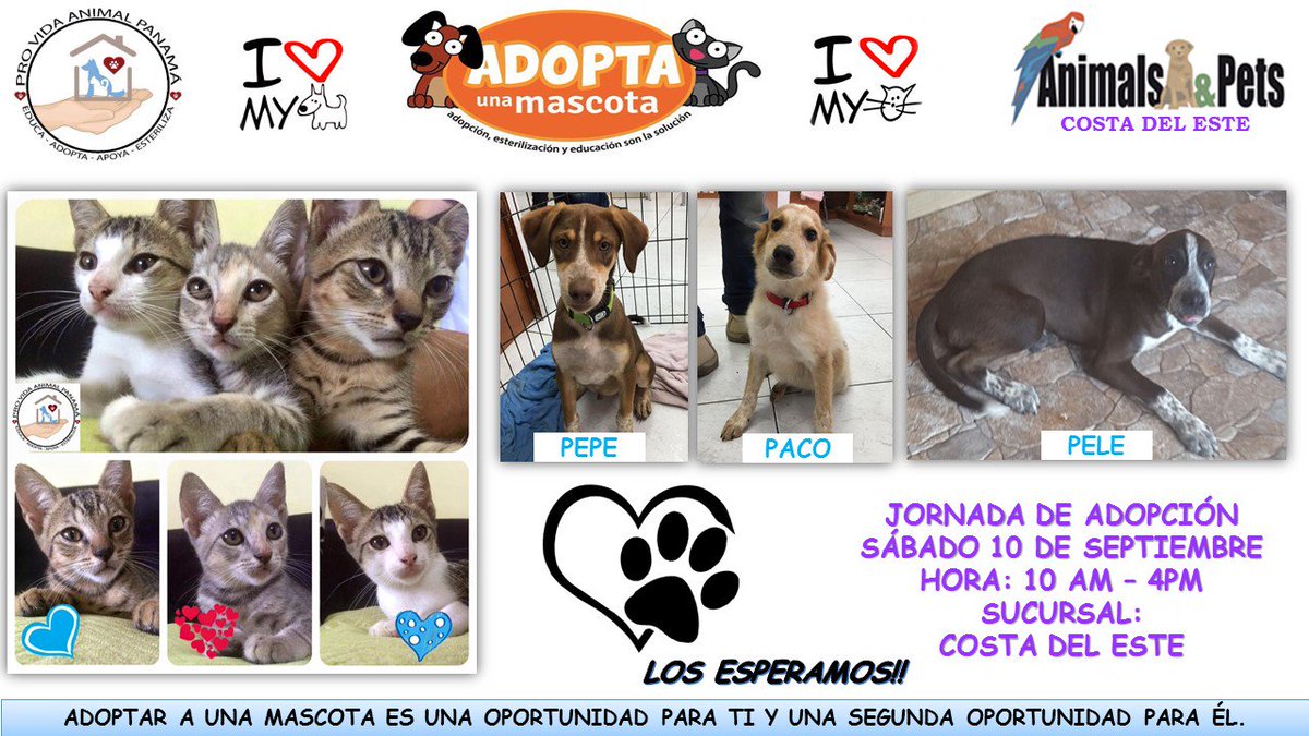 Los esperamos!! RT sábado 10 de septiembre en Animals&amp;Pets de Costa del Este, detrás de Papa John's