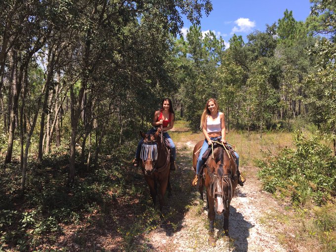 Fun @fetishnetwork with babe @kharliestoneXXX 😈 https://t.co/2KmlRGUfg6<a class="tags" target="_blank" title="On Twitter" href="/?out=eyJ0eXAiOiJKV1QiLCJhbGciOiJIUzUxMiJ9.eyJpYXQiOjE3MjUyMDM1NTUsImlzcyI6InR3cG9ybnN0YXJzLmNvbSIsIm5iZiI6MTcyNTIwMzU1NSwiZXhwIjoxNzU2NzM5NTU1LCJyZWRpcmVjdF91cmwiOiJodHRwczovL3R3aXR0ZXIuY29tL2ZldGlzaG5ldHdvcmsifQ.F6L6ZAkQTW58-6TKIkoi7IVbvgR_fcX-T_3_MSXskN0rRUixRXJVj_LlDz7PnUPzatQrOYpTKdxXKtztmPSvrQ">@fetishnetwork</a><a class="tags" target="_blank" title="On Twitter" href="/?out=eyJ0eXAiOiJKV1QiLCJhbGciOiJIUzUxMiJ9.eyJpYXQiOjE3MjUyMDM1NTUsImlzcyI6InR3cG9ybnN0YXJzLmNvbSIsIm5iZiI6MTcyNTIwMzU1NSwiZXhwIjoxNzU2NzM5NTU1LCJyZWRpcmVjdF91cmwiOiJodHRwczovL3R3aXR0ZXIuY29tL2toYXJsaWVzdG9uZVhYWCJ9.T6ZVlHr70Q97kyQKs1oqtPXzbZdzLa7w3tVUjyjSwmhTcuEm6i_1PMZ8Dsm0JIqXTwapx2DgLIIpqZ5KrFqjow">@kharliestoneXXX</a>