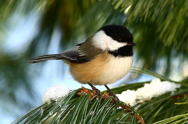 <a href="/MenaCrd/">Mena</a> <a href="/Ibehereforyou_/">I Be Here For You</a> <a href="/DilaNeslin/">Neslin Bülbül</a> @0526Sweetnam <a href="/itbmeshorty/">Sharon Howard Cloud</a> @Kassyandra86