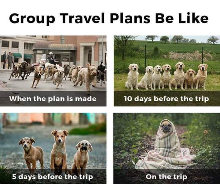 BuzzVisa's tweet photo. #Friends #Group #Travel Plans is Like this...!! #Evisabuzz #Humor #Funtime #Fun https://t.co/sPJENGXUjk https://t.co/CYoYFsJmrr