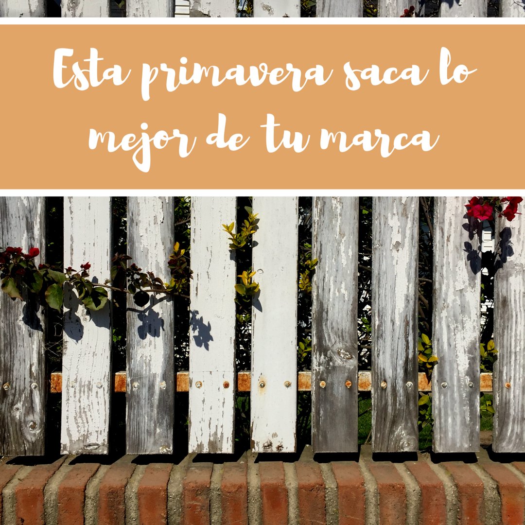 forestdesign_cl's tweet image. ¡Ya llegó septiembre! Resfresca tu marca con una campaña publicitaria de Forest Design. 🌸🌿