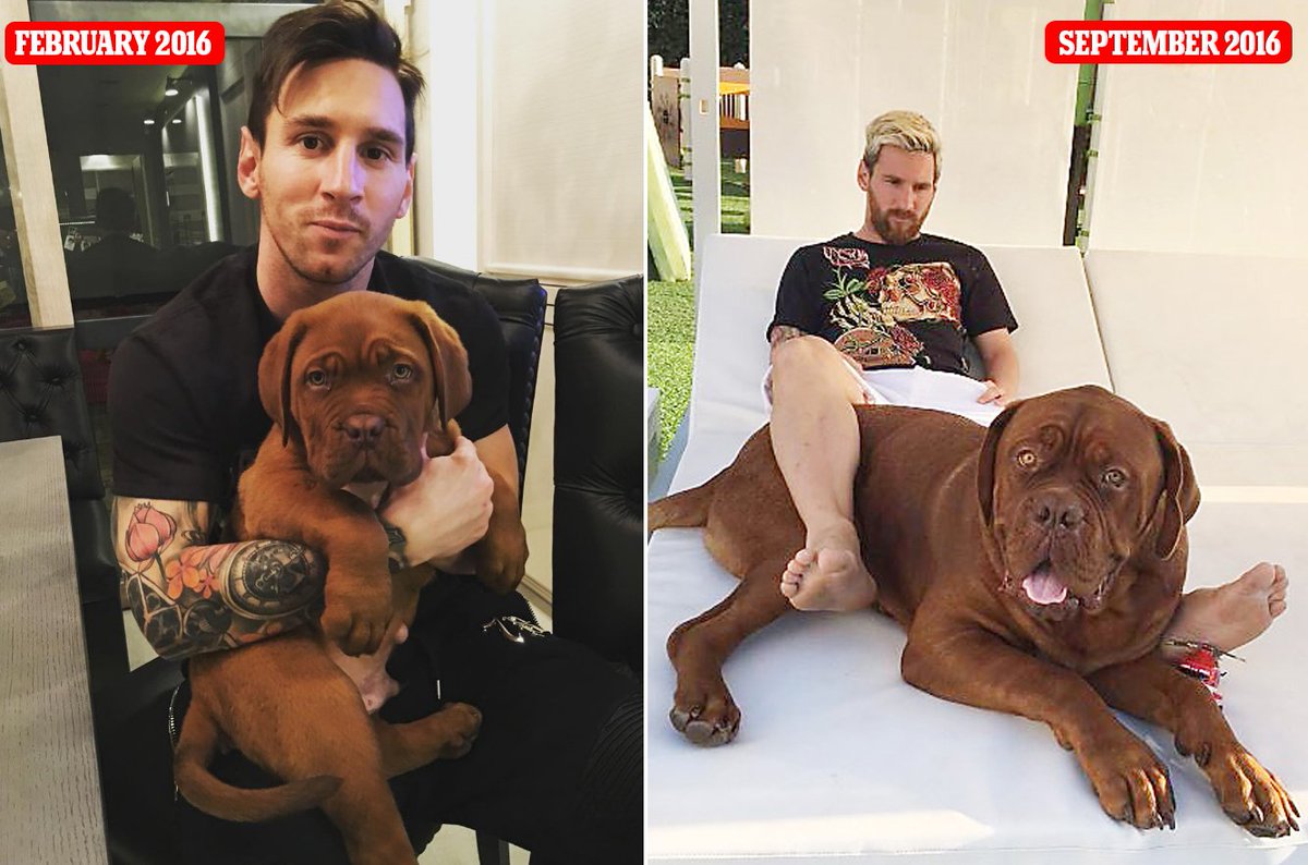 Barcelona star lionel messi shows off pet dog hulk's remarkable growth