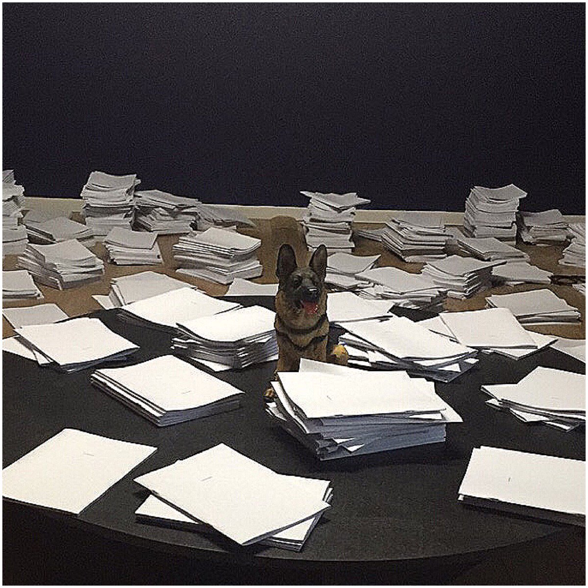 AssistantJd's tweet image. Time to call yourself a VA for those administrative tasks you've been putting off all week #jdvirtualassistant