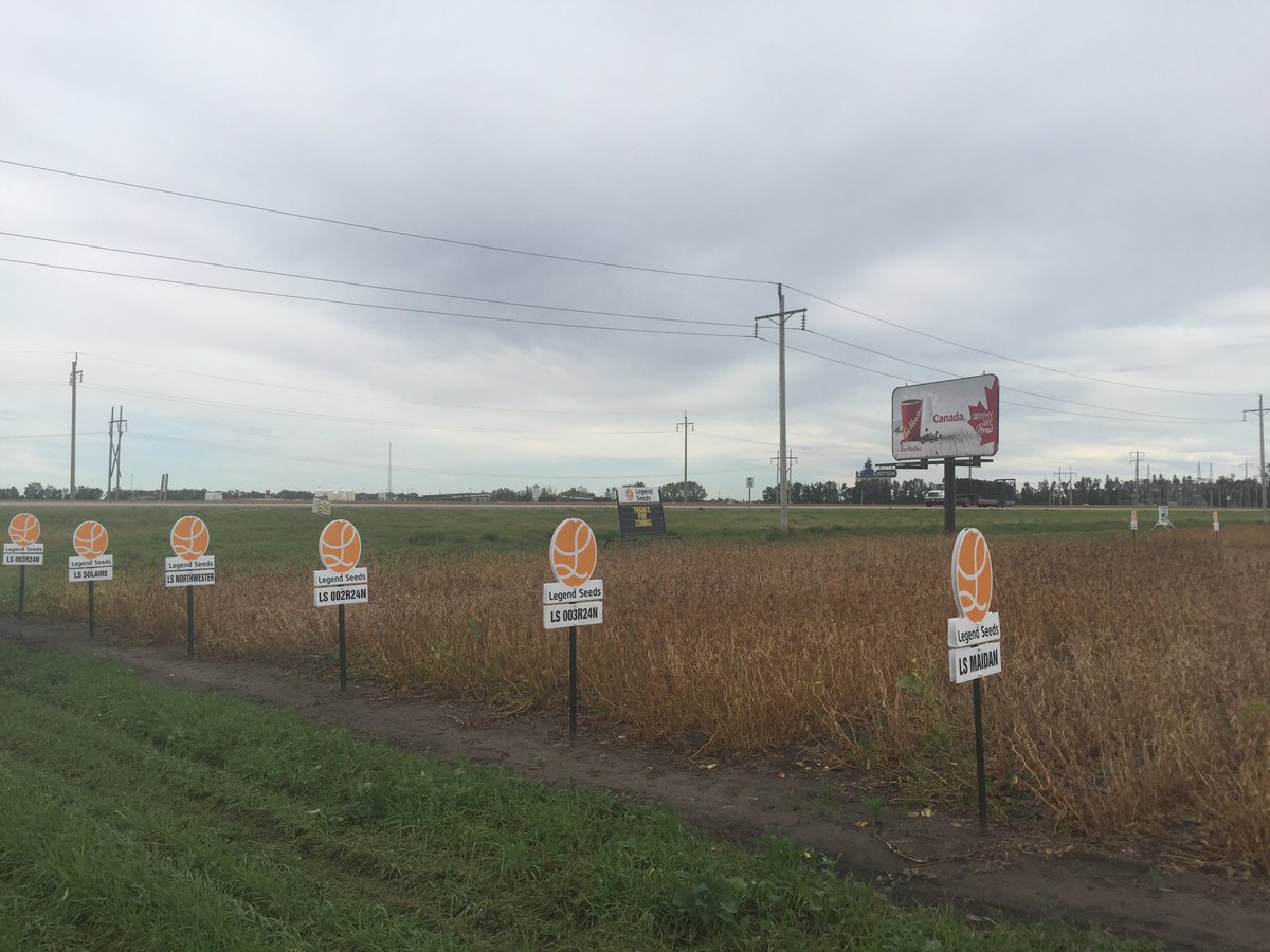 Sevita Soybean tweet media