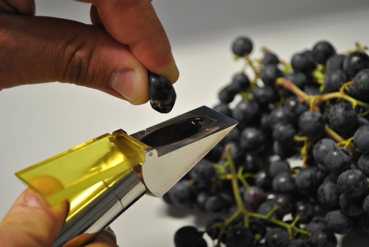 Vassanelli_LAB's tweet photo. #Vendemmia2016 Le previsioni #Assoenologi stimano una produzione di 49 mil di hl   https://t.co/9VC6SrCZ15 https://t.co/riBaWYpxQd