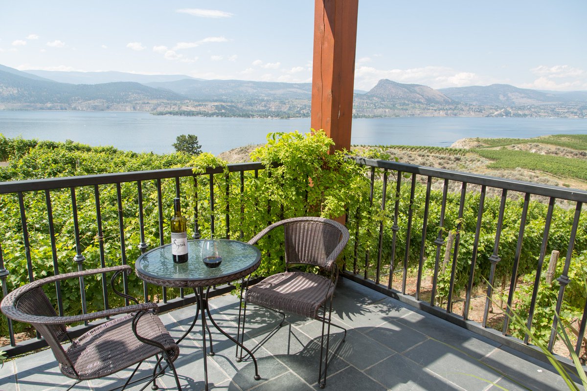 The calm before the storm. Harvest is coming!
#harvest2016 #bcwine #naramata #okanaganlifestyle