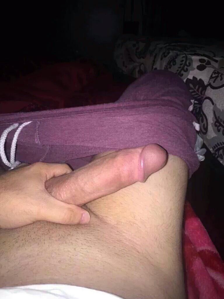 مقوم وابي انيك