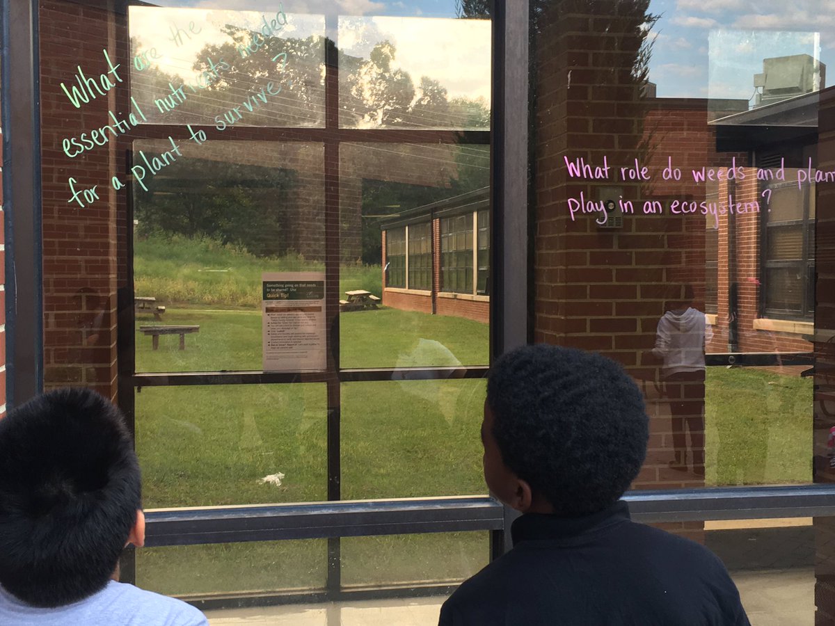 ConleyHillsES's tweet photo. STEM-Tastic Thursday! Students investigating environmental significance of weeds. #CHESSTEM https://t.co/me0VKKExaG