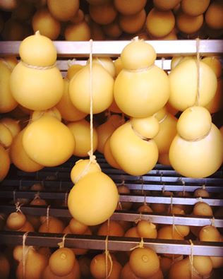 Valcoop_Puglia's tweet photo. Live dalla nostra stanza delle meraviglie! #Caciocavallo #Valcoop #ProdottiTipici #WeAreInPuglia #MartinaFranca https://t.co/9hsxU0mXgb
