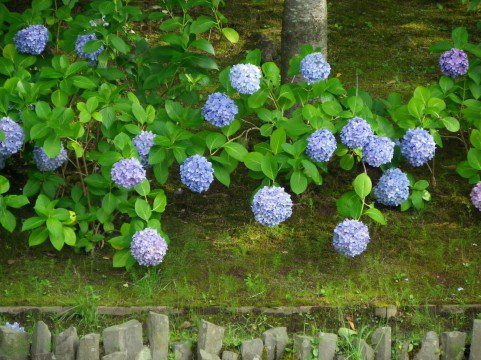 dosuru_40's tweet photo. 人生は自分で区切る！だいたい１５年ごとが良い感じ？ (カリーナ) https://t.co/gDBFg5mvGf #ov40 https://t.co/MTNBWsMzfY