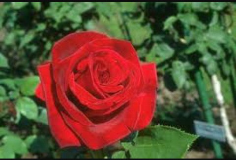 دائماً هناك لحظات جميله
حتى وإن كانت قصيره تبقى ولا تُنسى