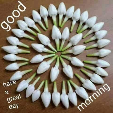 tskannan73's tweet image. 