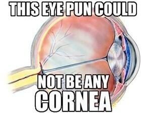 DrManusKraff's tweet photo. #Eyepuns https://t.co/tqxefdqzQo