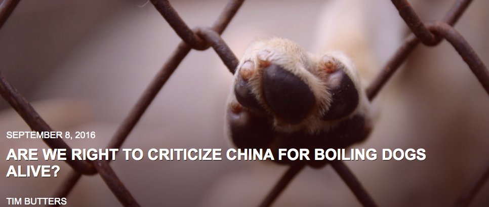 LC4A's tweet photo. Are We Right To Criticize China For Boiling Dogs Alive?  Damn Right We Are https://t.co/a5dbgnwfTE via @theinquisitr https://t.co/UJfrNNLway