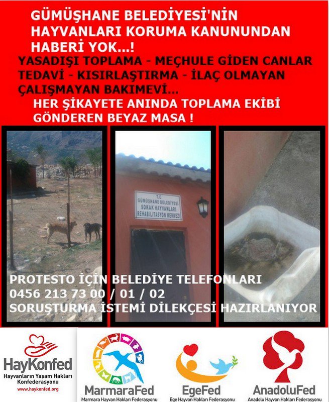 Şikayette toplama yapmıyoruz dediler, "şikayet" ettik anında geldiler:)
facebook.com/HayKonfed/phot…