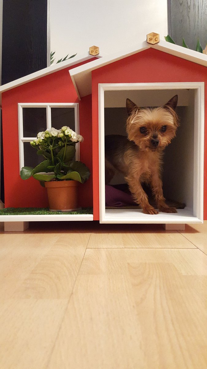 Pet Cribs (petcribsuk) Twitter