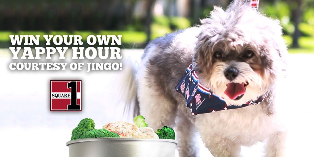 Square1Burgers's tweet photo. We're giving away TWO $50 SQ1 Gift Cards for our Jingo's Menu Contest! 

🐶  ENTER NOW: https://t.co/ac7DrHZUvV 🐶 https://t.co/ag2Tw3wPTe