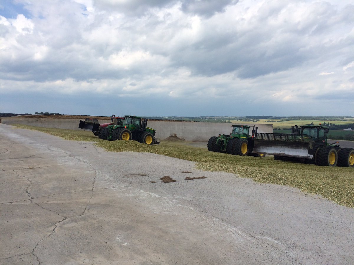 seedgreg's tweet image. #harvest16 channel corn into the bunk. Day 1