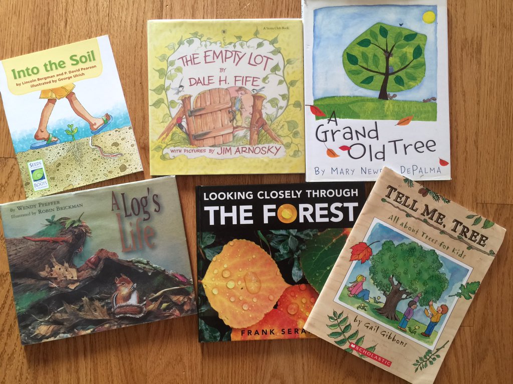 playwithmath's tweet image. My gr3 found leaves in yard &amp;amp; books on trees &amp;amp; soil. Excited by her day at school to learn more &amp;amp; share her books.