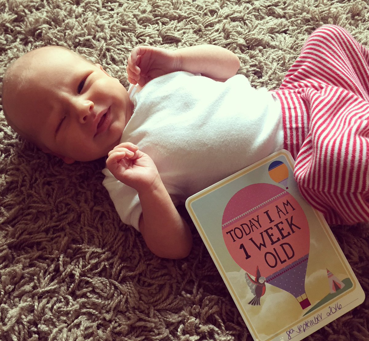LovellRhian's tweet photo. So I have mostly spent the last week being a mum again 💙💙 #lgbtfamilies #2mummies #lwc #newborn https://t.co/z4ZBGfIwkp