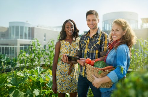 RestorationAgD's tweet photo. What Would It Take to Mainstream 'Alternative' Agriculture? - https://t.co/KO4kSl9SU0 https://t.co/1cQnizZDJ0
