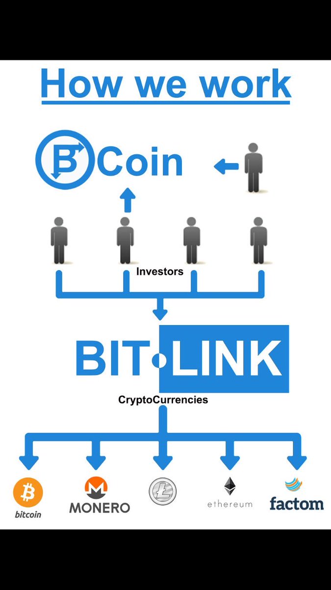 BitlinkTM's tweet image. How we Work: