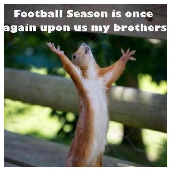 ProFootballShip's tweet image. The time has finally come! T-minus 3 hours until #kickoff2016. Are you ready for some football?! #CARvsDEN #nfl 🏈