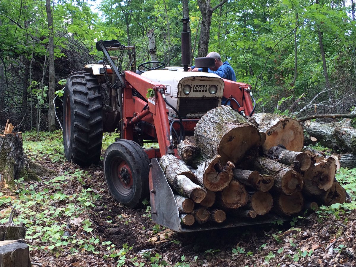 cox_leeanne's tweet photo. He sees firewood..... I see furniture. 
#lovehimanyway https://t.co/z5MGXWSilb