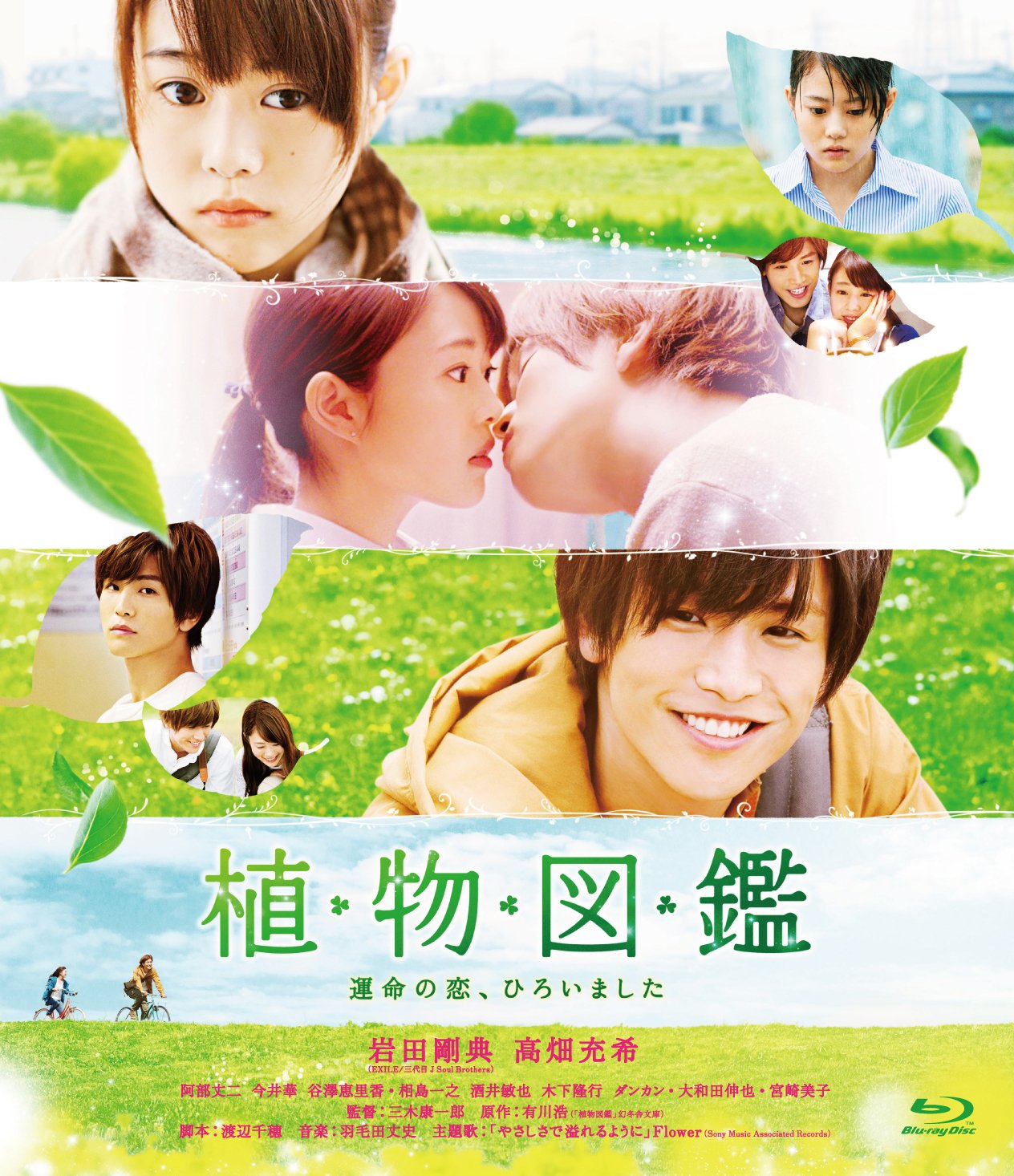 箱入り息子の恋　ポスター 箱入り息子の恋 : ポスター画像 - 映画.com