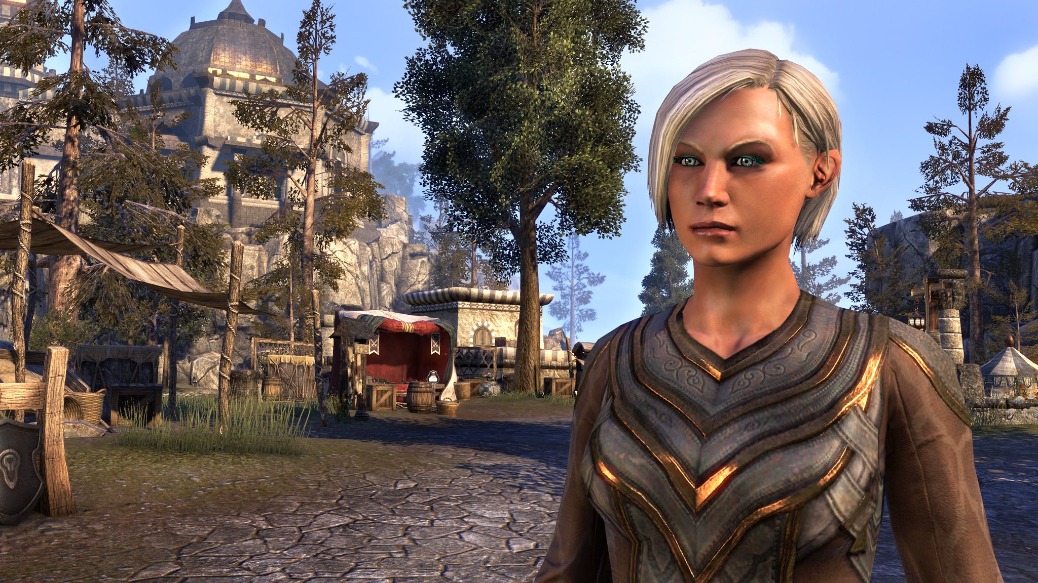 The Elder Scrolls Online on Twitter: "New hair styles as ...