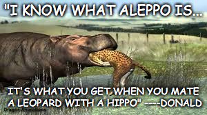 martycomroe's tweet image. #AleppoGate