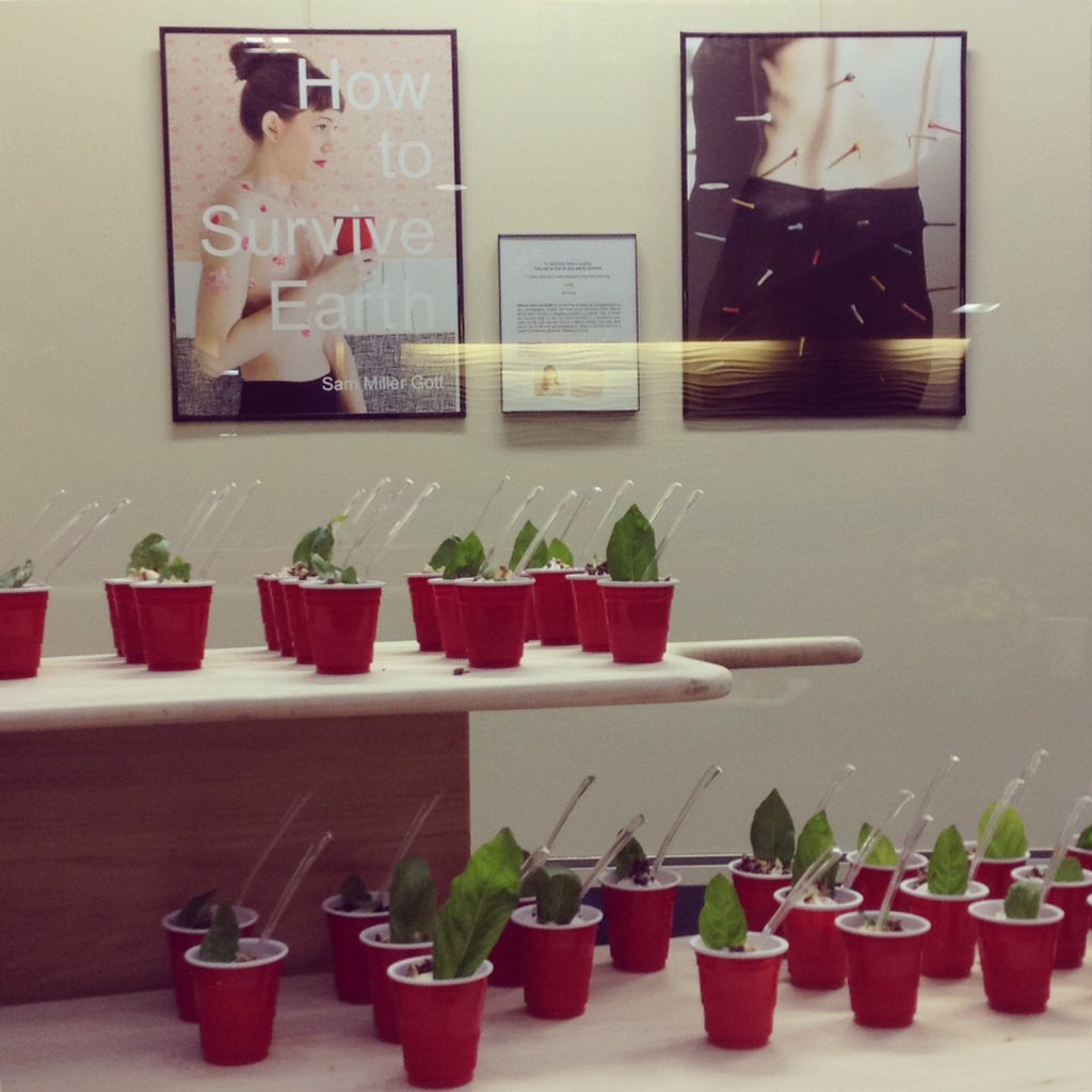 wsu_adci's tweet photo. How to Survive Earth book launch 6-8p tonight @wsu_rsc Congrats Sam Miller Gott! #htse #earthcups https://t.co/AlsEOhmqxN