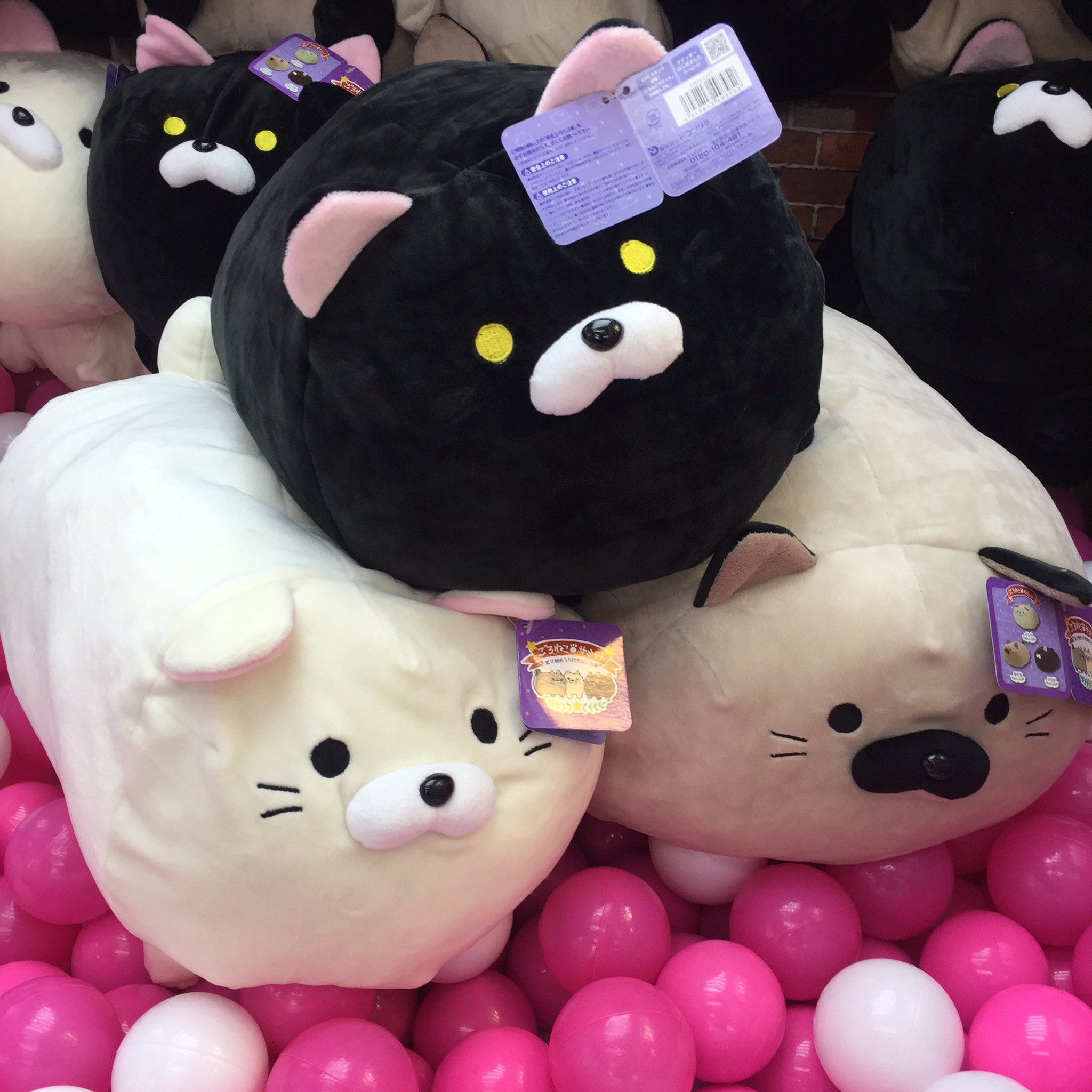 ごろねこサミット ハラダ ぬいぐるみ ドラマ下北沢（プライズ専門店