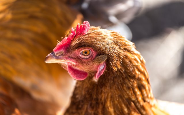 Le nouveau clip de #Mickey3D fait sérieusement réfléchir flair.be/fr/home-sortie…