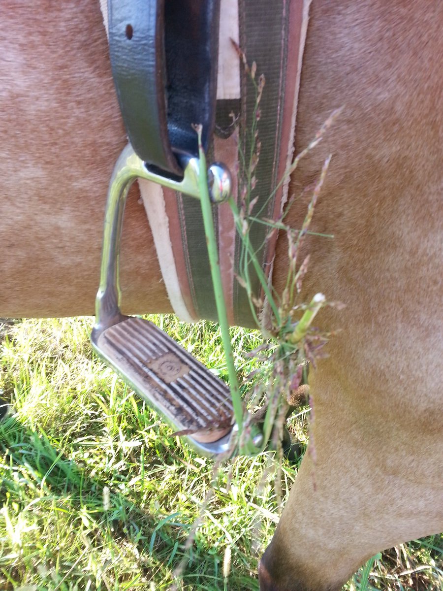 #eventersolutions The band on my stirrup broke&amp; I didn't have an extra so I made one with grass.It works.Don't judge