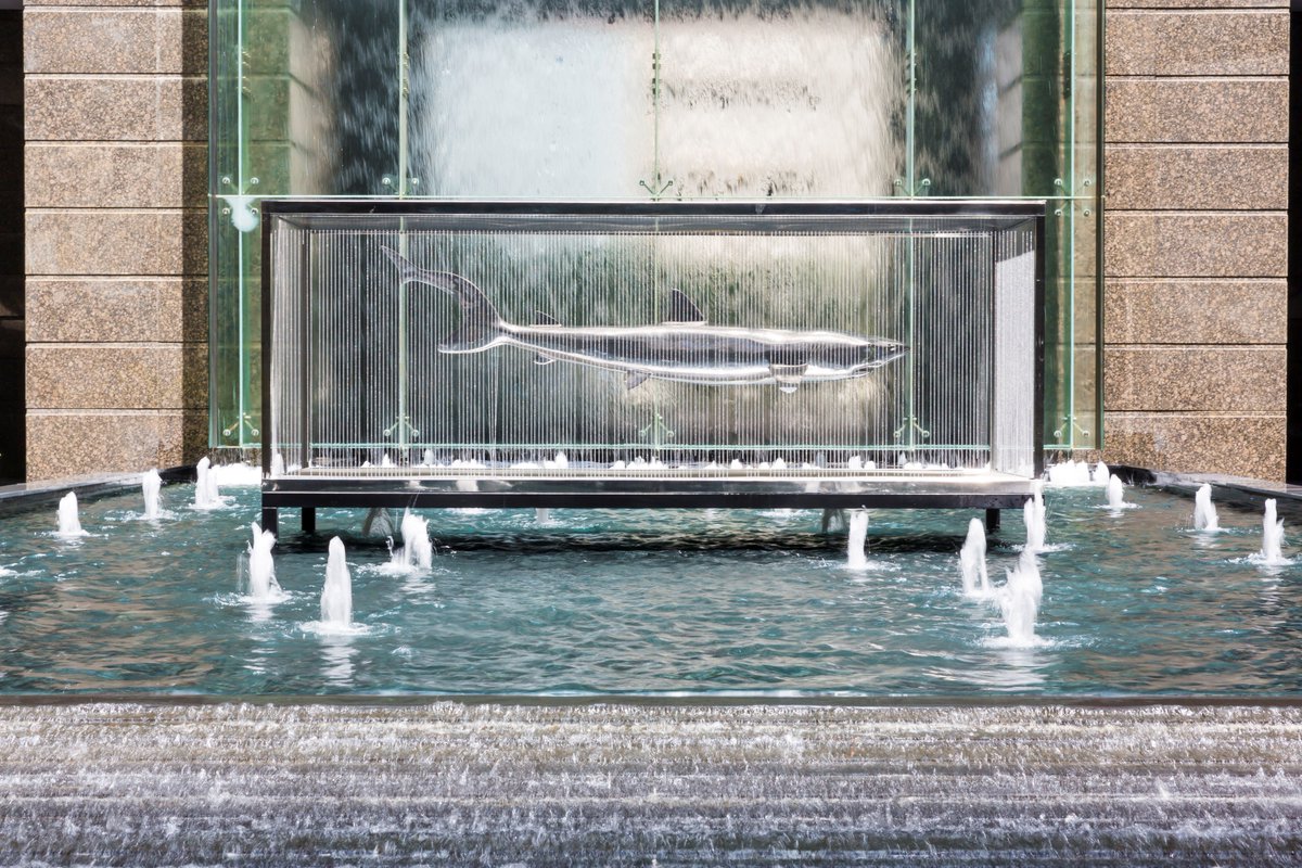 RitzCarlton's tweet image. What a welcome! A striking 700kg shark greets guests on arrival and sets the scene for eye-catching art inside