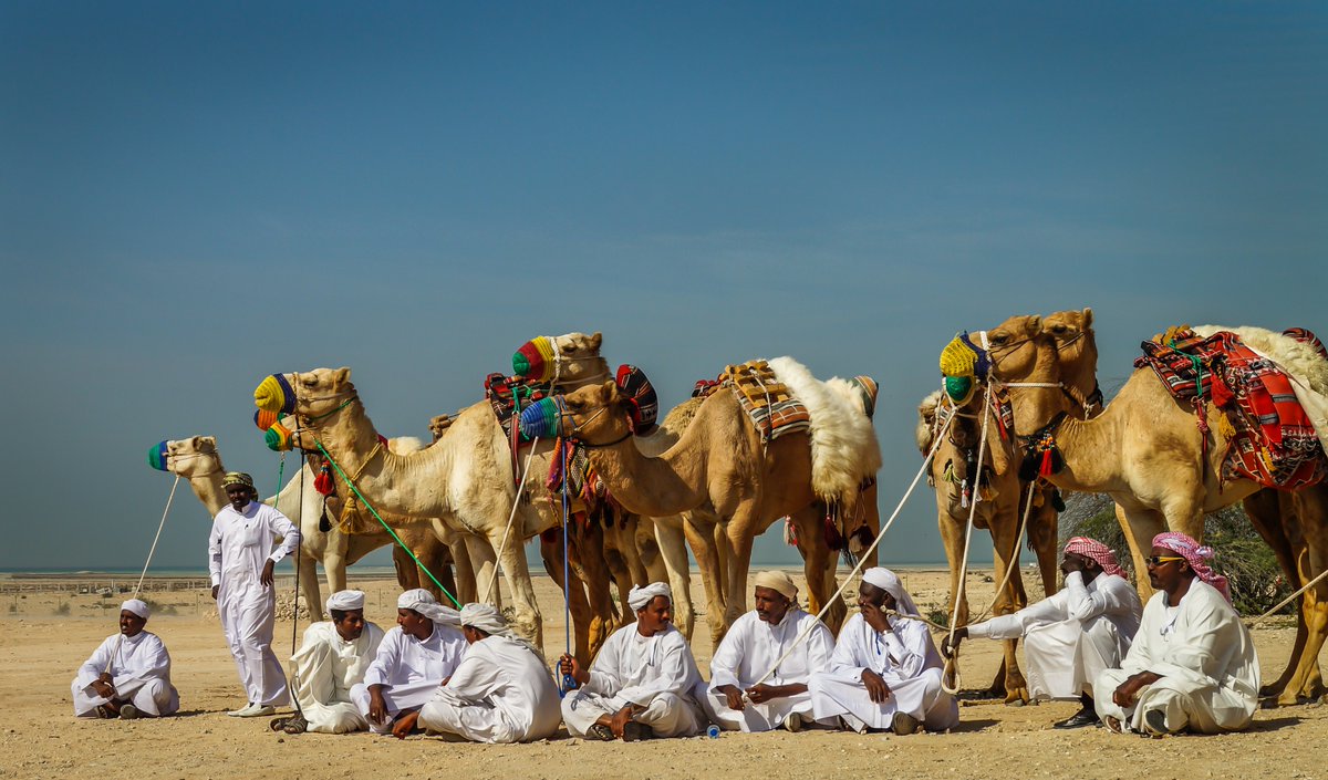 photo_shaf's tweet photo. @NatGeoPhotos @NatGeoTravel #Qatar #zubara @photography @SonyPictures @Qatar_Museums @QPSphoto @QatarPS https://t.co/GZta0TrlOC