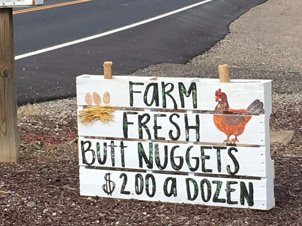 PaleoFoundation's tweet photo. 2 dollars is pretty reasonable.. https://t.co/jaJwltzkZD