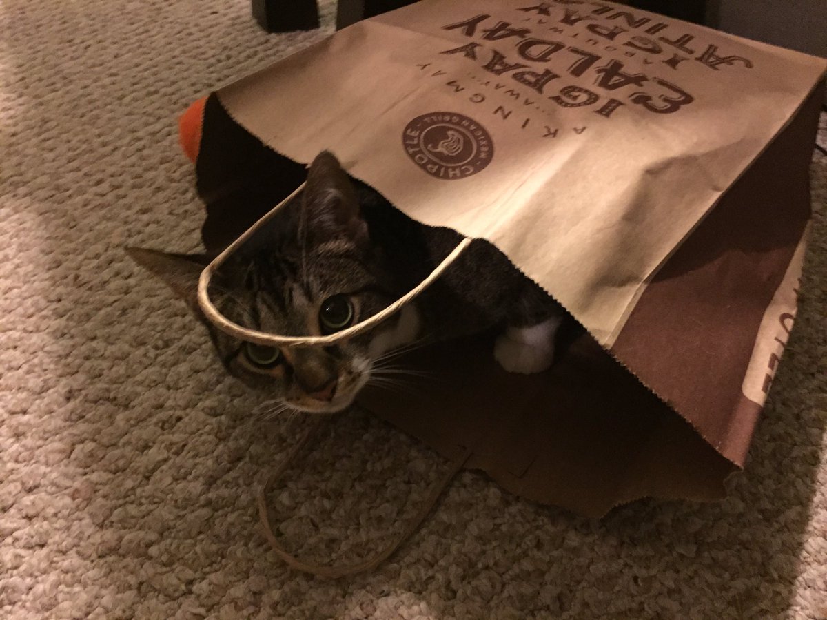 patterson482's tweet photo. #notchipotle 😼 https://t.co/JZKOnN1je1