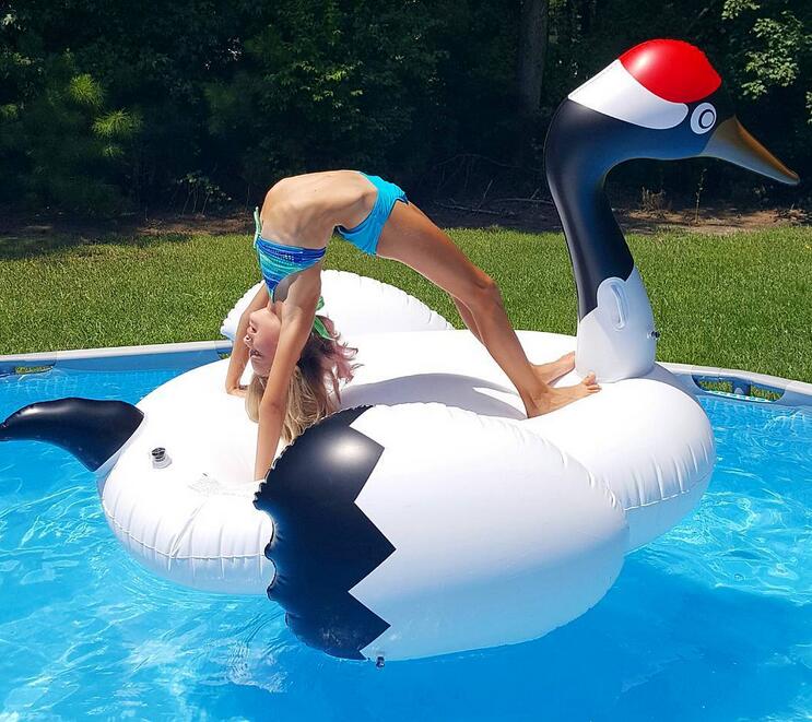 ibigbean01's tweet image. kong-fu crane
#ibigbean #inflatablepoolfloat #watertoy
