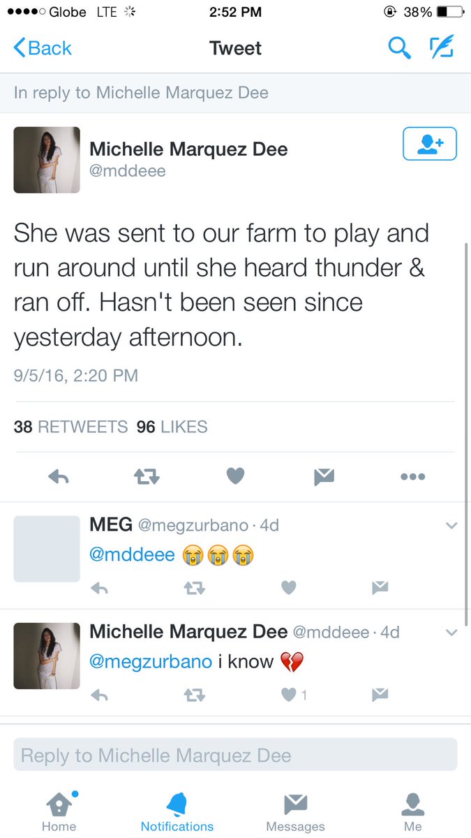 MATCHADOLAN's tweet image. This is so disgusting. No one deserves to be abused &amp;amp; hurt. Humans or animals, doesn't matter.