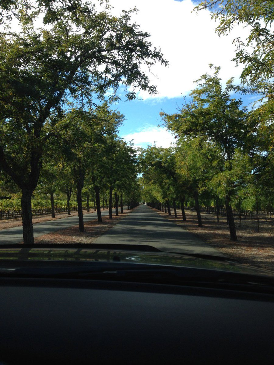 TeaWithSB's tweet image. Transitioning to Fall teawithsb.wordpress.com/2016/09/09/tra…