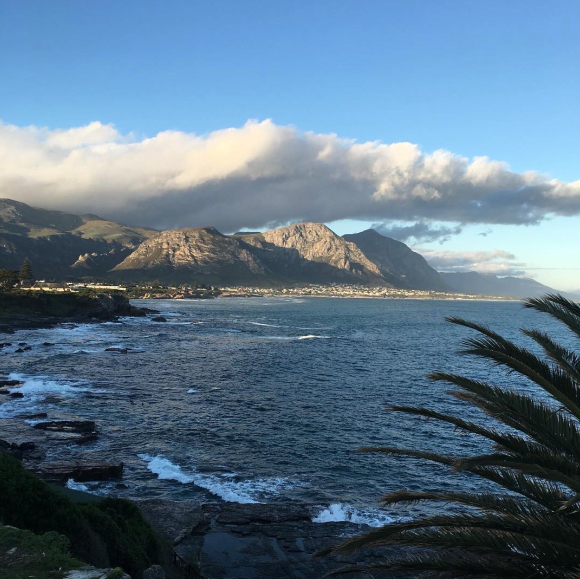 Love the Cape, cannot stay away from <a href="/SouthAfrica/">Visit South Africa</a> <a href="/HermanusTourism/">Hermanus Tourism</a> #SouthAfrica #whalewatching #astw2016 #adventure