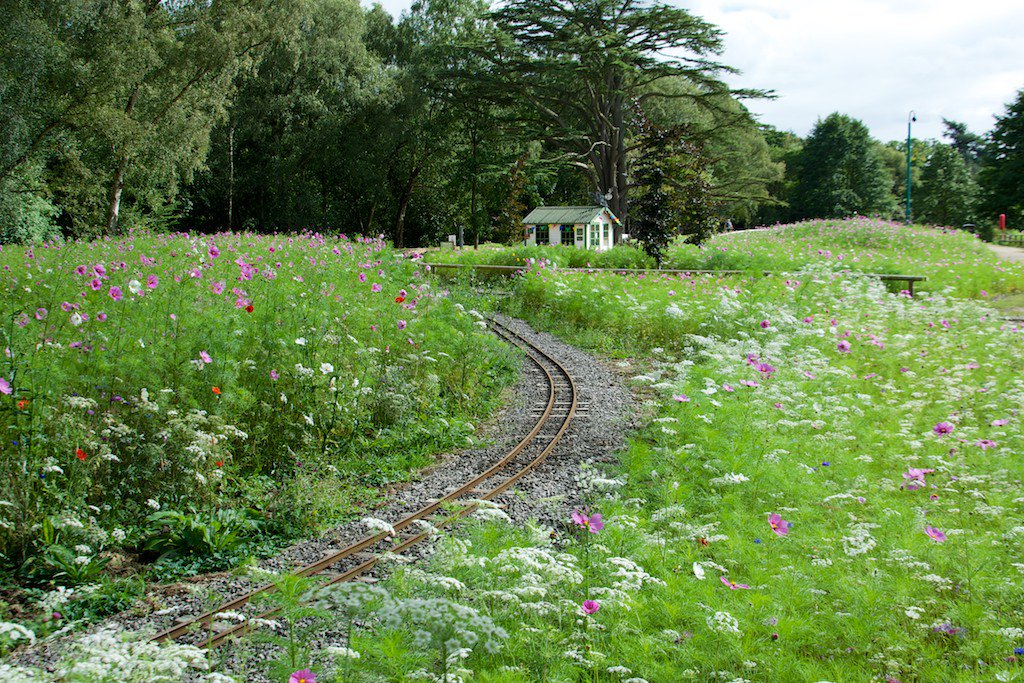 NigelDunnett's tweet photo. The miniature railway @TrenthamGardens running through flower fields @PictorialMeadow sept 8th https://t.co/DPSy8ggG2V