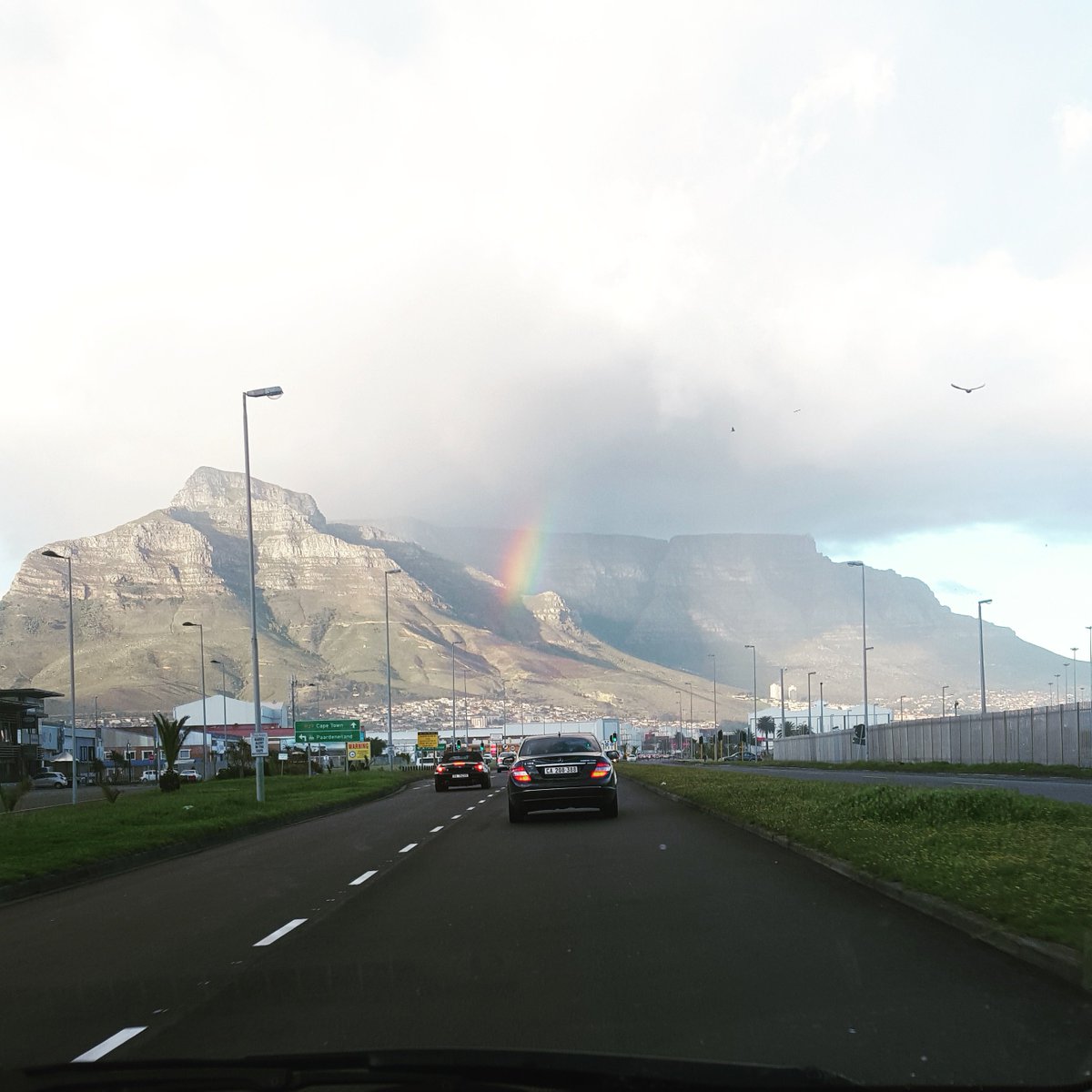 EarthStreamSA's tweet photo. How lucky are we to work in such a beautiful city like Cape Town! #lovemyjob #CapeTown #earthstream #happyfriday https://t.co/X1aOjquDLM
