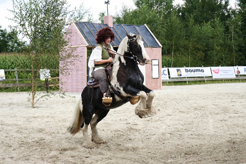 TipEastermar's tweet photo. Wij wensen de deelnemers van #skûtsjesilenynewâlden en #paardenspektakel #Eastermar heel veel succes dit weekend! https://t.co/2pTYCbfIku