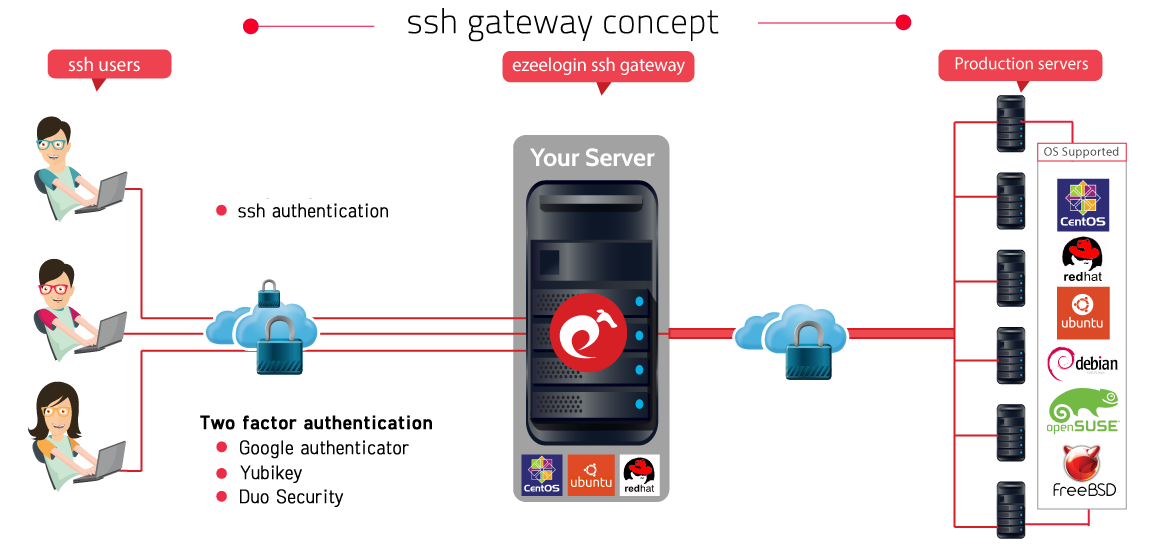 ezeelogin's tweet photo. SSH gateway concept
#ezeelogin #SSH #sshgateway #server #jumphost #jumpserver https://t.co/yT9yqWeo6f